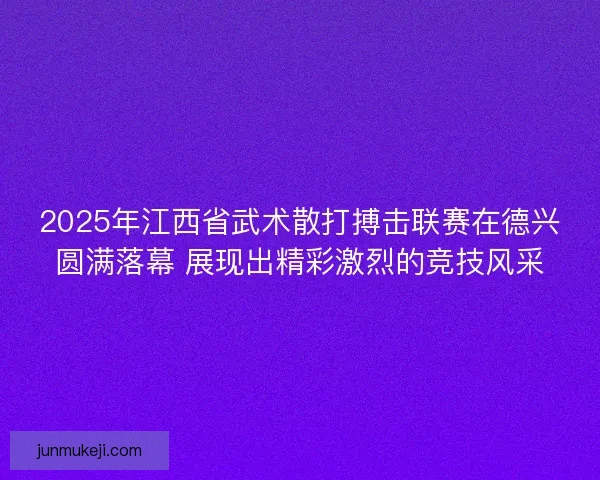 2025年江西省武术散打搏击联赛在德兴圆满落幕 展现出精彩激烈的竞技风采