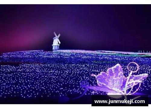 jinnianhui金年会梦想与坚韧：全红婵的跳水传奇 - 副本